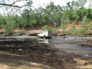 steve-irwin-refuge-web-04