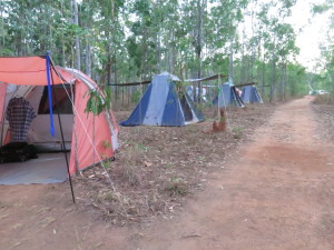 steve-irwin-refuge-web-07