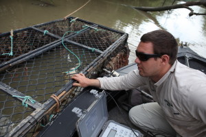 steve-irwin-refuge-web-16