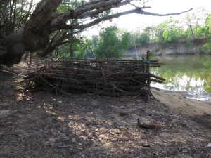 steve-irwin-refuge-web-17