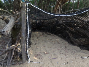 steve-irwin-refuge-web-18