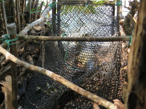 steve-irwin-refuge-web-19