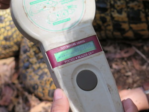 steve-irwin-refuge-web-29