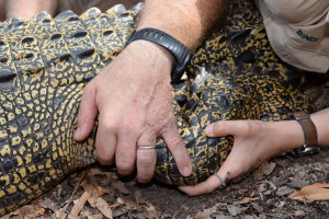 steve-irwin-refuge-web-33