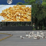 Buenos Aires- Ducks at the movies
