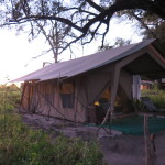 2 Okavango Delta Day 2- 002