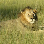 2 Okavango Delta Day 2- 017