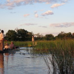 2 Okavango Delta Day 2- 112