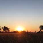 3 Okavango Delta Day 3- 001