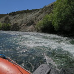 Bariloche- Limay River float trip 002