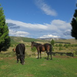 Bariloche – Patagonian steppe home vist with horseback ride & BBQ 078