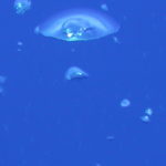 Dive 10 N’Garve Pass 003